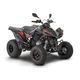 4x4 quad bike / gasoline engine / utility