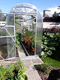 even-span greenhouse / gardening / steel frame / with steel framework