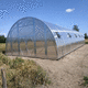 tunnel type greenhouse / commercial production / gardening / botanical