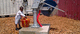 water pump / hand