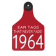 cattle ear tag / plastic / two-piece