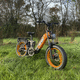 electric bike / all-terrain