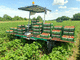 transporting farm robot / autonomous / for greenhouses