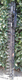 hedge trimmer cutter bar / steel