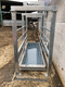 footbath for livestock buildings