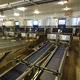 automatic egg printing machine