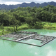 aquaculture floating dock / plastic / modular