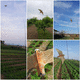 bird deterrent system / visual / physical