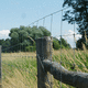fence post / metal / for animals