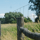 fence post / metal / for animals