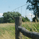 fence post / metal / for animals