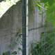fence post / trellis / metal / vineyard