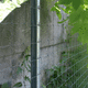fence post / trellis / metal / vineyard