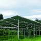orchard agrivoltaic structure / for crops