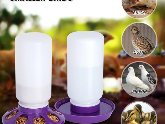 bebedero para pollos de 1L y comedero para pollos de 1KG