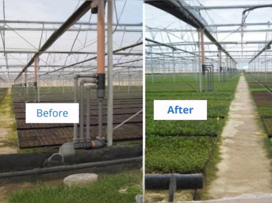 Desinfección de Aguas Agrícolas con PHA: la Solución Más Eficaz