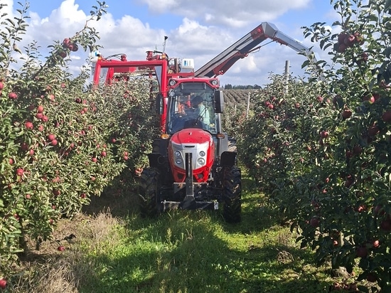 Apple harvester FELIX Z is becoming more and more popular
