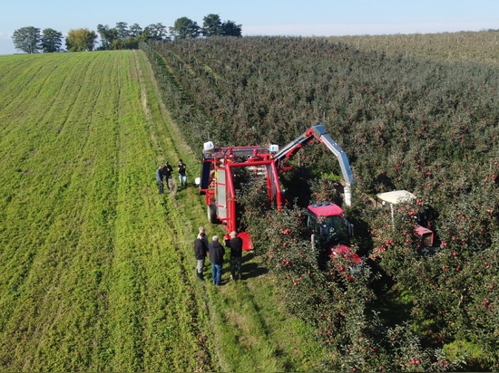 Apple harvester FELIX Z is becoming more and more popular