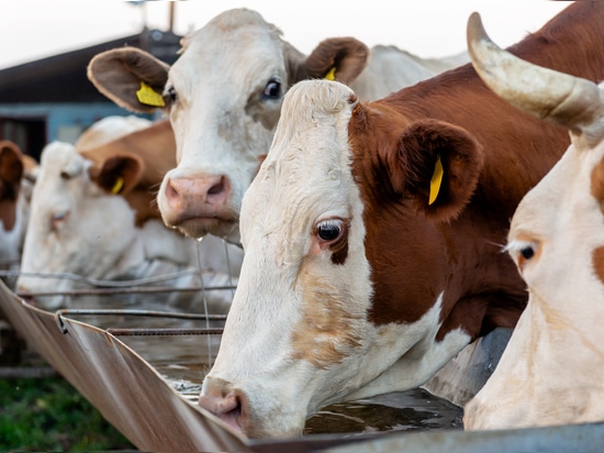 Eau potable saine avec Farnax Plus (dioxyde de chlore)