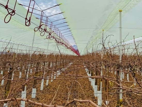 SATINEX - Das Rohr für Zugstangen!