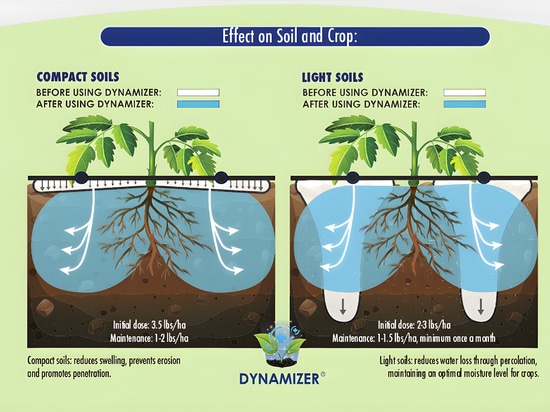 Dynamizer - Irrigation Enhancer