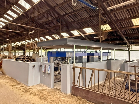 Vergeer Dairy Farm: Milking Robot Rooms with Combiboard Zeta 175mm