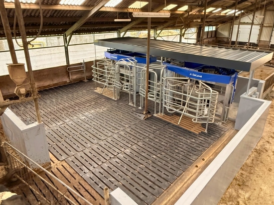 Vergeer Dairy Farm: Milking Robot Rooms with Combiboard Zeta 175mm