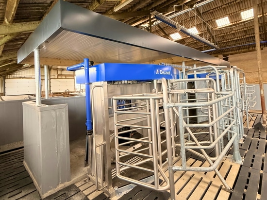 Vergeer Dairy Farm: Milking Robot Rooms with Combiboard Zeta 175mm