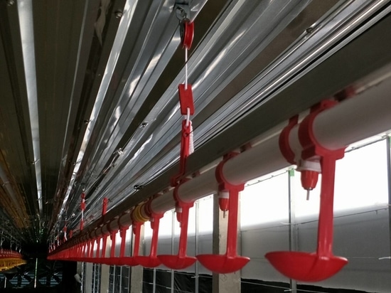 Nipple Drinkers: Core Accessories Optimizing Poultry Drinking Line Systems