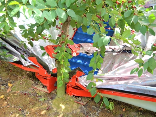 GACEK Fruits Harvester - Innovation Solution