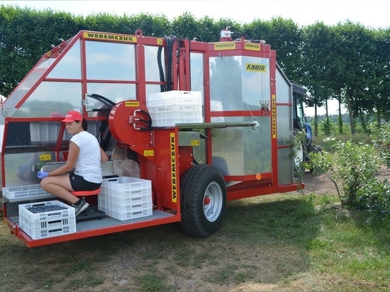 Heidelbeer-Erntemaschine