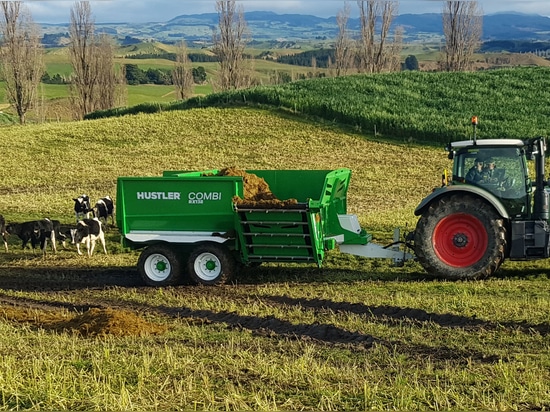 Minima manutenzione - risparmio di denaro