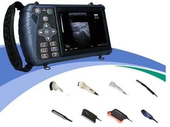 Bovine Ultrasound Machine