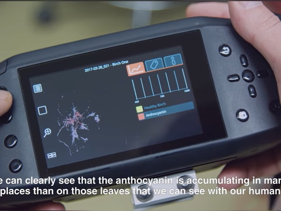 Specim IQ camera Hyperspectrale imaging for analysing anthocyanin