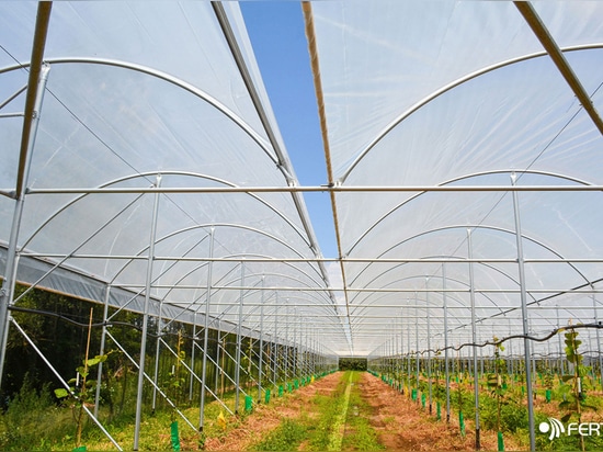 MACROTUNNEL