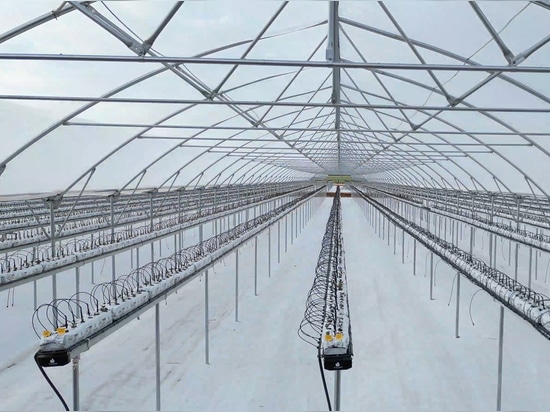 A well-kept secret: the Gothic low-tech macrotunnel that is revolutionizing protected crops