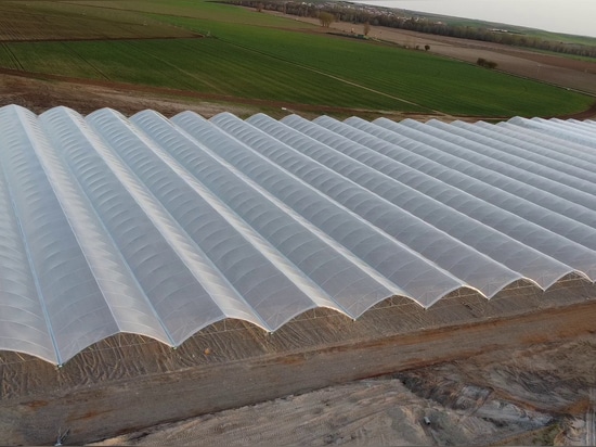 A well-kept secret: the Gothic low-tech macrotunnel that is revolutionizing protected crops
