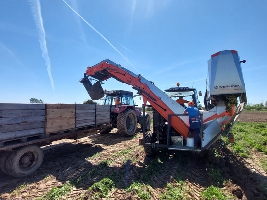 Farmer opinion about WERINGEN RVS-1
