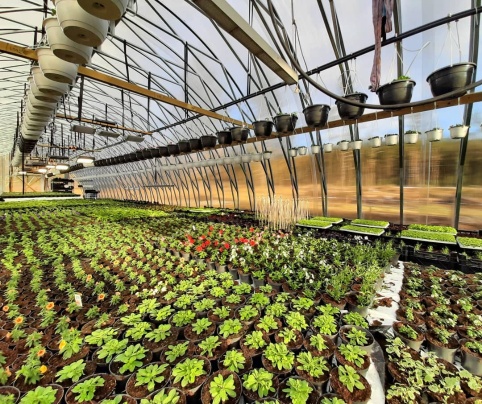 Ecoslider Greenhouses and PremiFarm Aeroponic Vert Photo 2