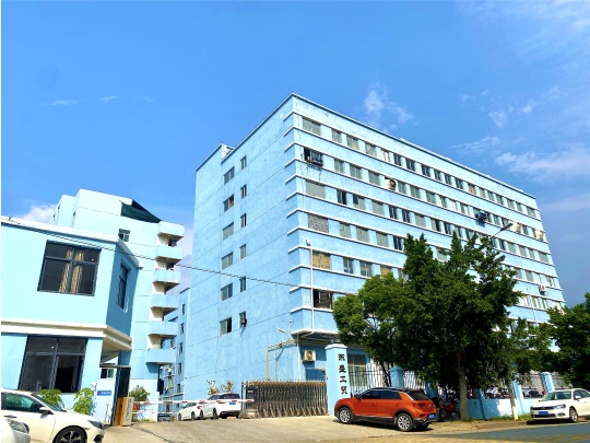 Dongshen Photo 7