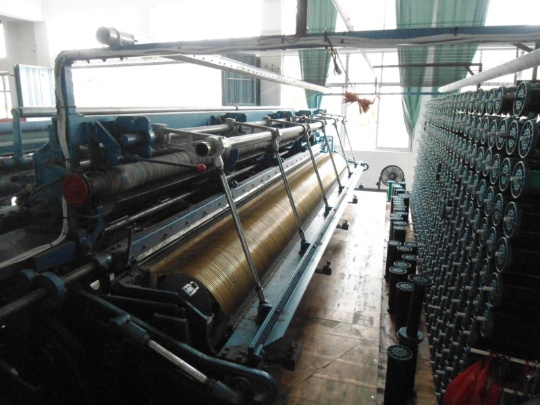 Dongshen Photo 11