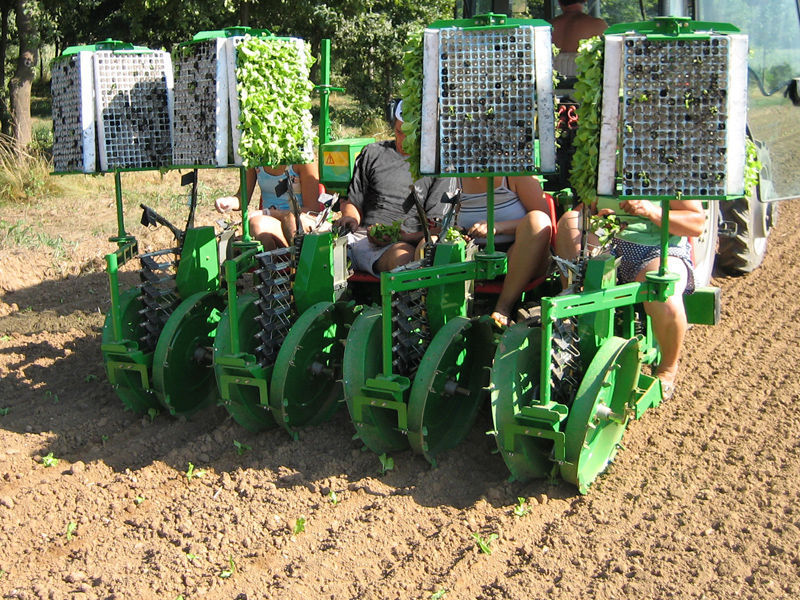 Trapiantatore Per Piante In Acciaio Inox - Attrezzo Da Giardino Portatile Per Bulbi E Piantine