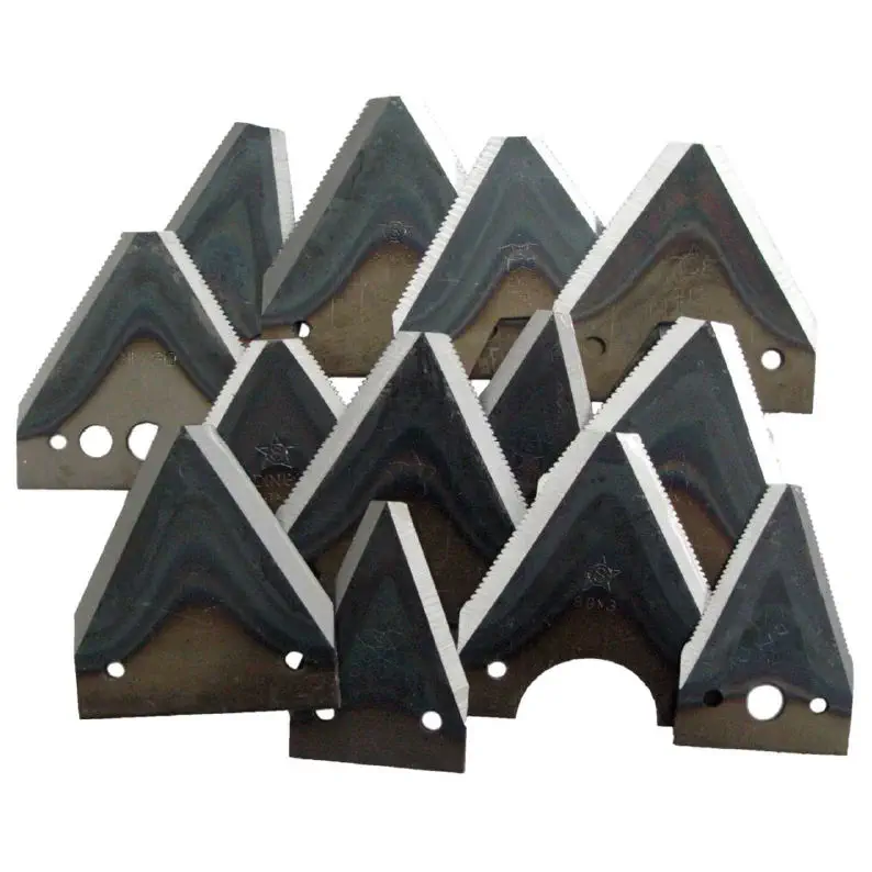 Rhythmic Gloomy Miss Pacciamatrice Motocoltivatore Rich Birthday Disease - Foto 11