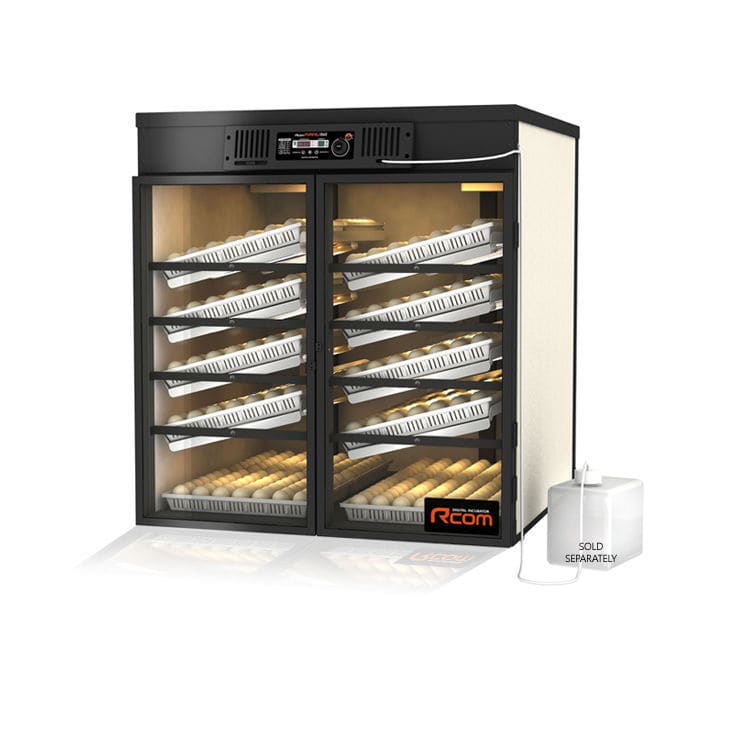 Vassoio Incubatrice Per Uova 36 Posizioni Per Galline E Anatre, Con Motore DC 12V, 42x42 Cm