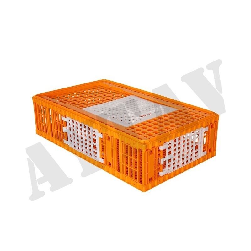 20 Gabbie Per Trasporto Api Regina In Plastica Trasparente - Strumenti Per Apicoltura - 2