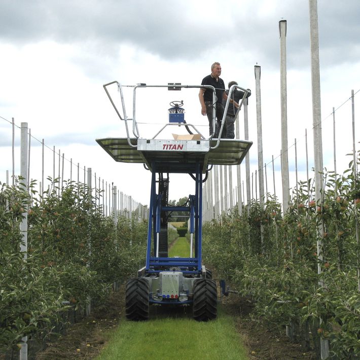 Carrello raccolta per frutteto - Titan - Agricom - semovente / ad