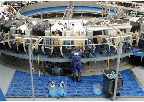 Membrane Per Mungitrici - Set Di 4 Diaframmi In Gomma Per Pulsatore HL-P07 | Ricambio Originale