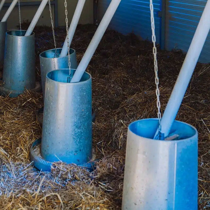 Mangiatoie Da Recinzione Per Polli E Animali Da Fattoria - Set Da 2 Pezzi Con Clip - Foto 10