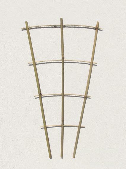 hifrom Connettori per canna di bambù per frutta, traliccio per piante, 50 palline di canna flessibili per giardino, gabbie per pomodori, gabbie per verdure, gabbie per frutta e reti (11 mm