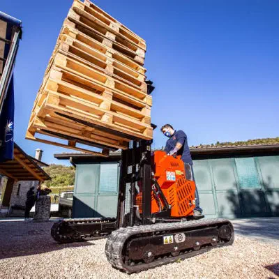 Carrello Portatile Pavo Carrello Con Piattaforma Pavo - Portata 150 Kg, Ruote In Plastica, Manico Pieghevole Carrello Platform Trasporto